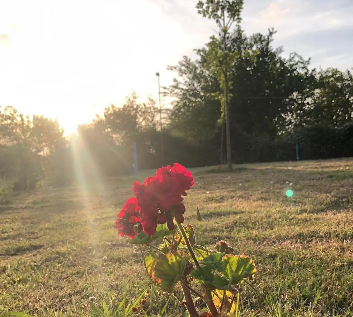 Camping Gjelaj Baks-Rrjoll